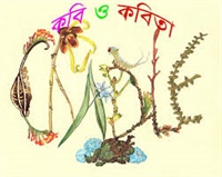 Awlad