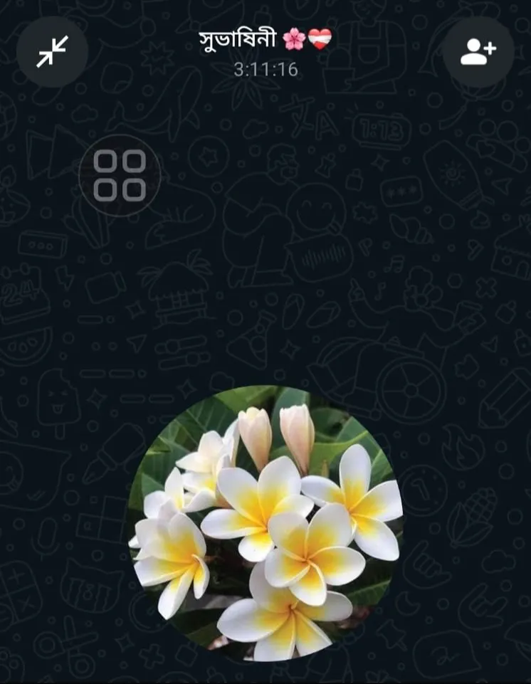 আমার না হওয়া সুভাষিনী