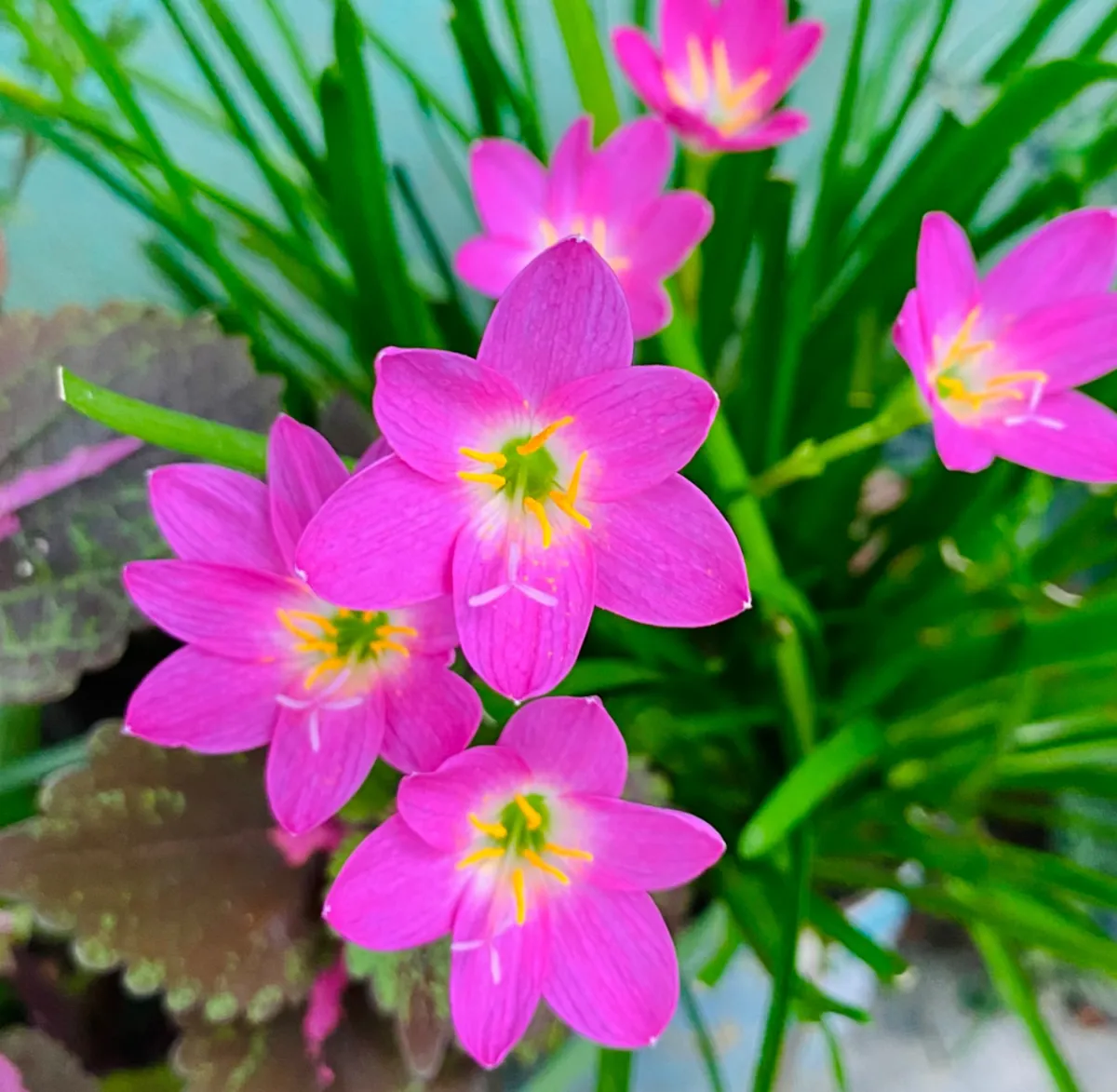 সময়ের সাথে বদলে যাওয়া ভালোবাসা