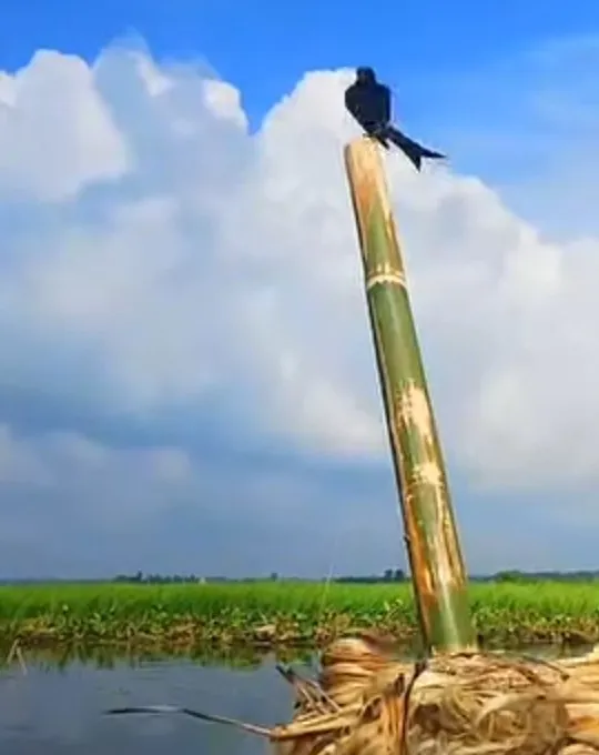 সম্পর্কের বিরামচিহ্ন